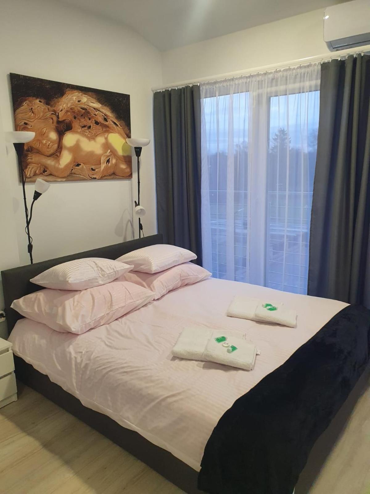 Comfort Stay, Ev, Parking 博莱斯瓦维茨 外观 照片